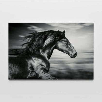 Imagem de Quadro Decorativo Cavalo Preto/Branco