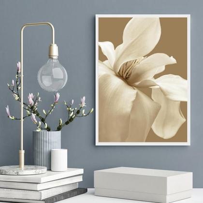 Imagem de Quadro Decorativo Flor Branca Fundo Marrom 33X24Cm - Vidro