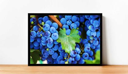 Imagem de Quadro Decorativo Frutas Uvas Gourmet Cozinha Restaurantes Com Moldura RC025