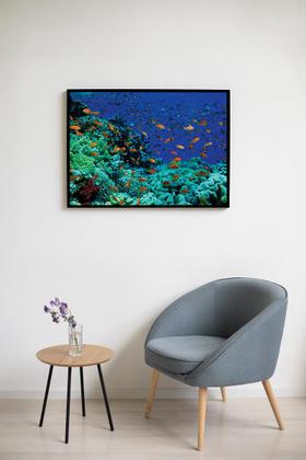 Imagem de Quadro Decorativo Peixes Coral 90x60 para Sala Quarto Hall