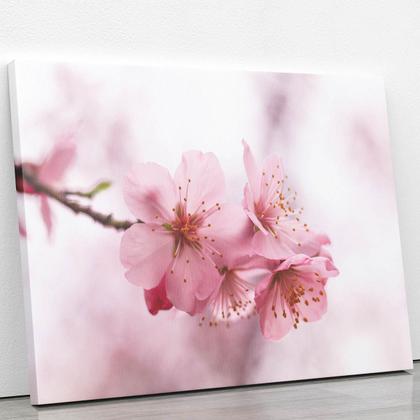 Imagem de Quadro Flores de Cerejeira Rosa Sakura Foto Canvas 60x40cm
