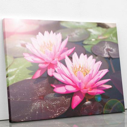 Imagem de Quadro Lírio da Água Rosa Flor Natureza Canvas 60x40cm