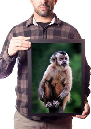 Imagem de Quadro Macaco Prego Animal Selvagem Decoração Sala