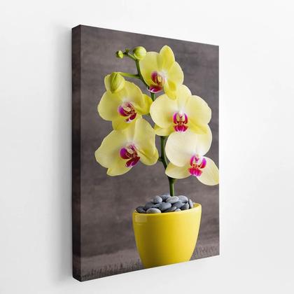 Imagem de Quadro Orquídeas Amarelas Flor Em Vaso Canvas 60X40Cm