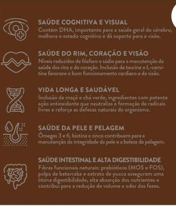 Quatree Supreme Super Premium Alimento Para Cão Senior De Raça Pequena Sabor Salmão E Frango Em Sacola De 3kg Imagem de Quatree Supreme Super Premium Alimento Para Cão Senior De Raça Pequena Sabor Salmão E Frango Em Sacola De 3kg