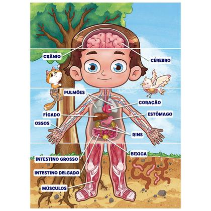 Imagem de Quebra-cabeça 100 peças Corpo Humano