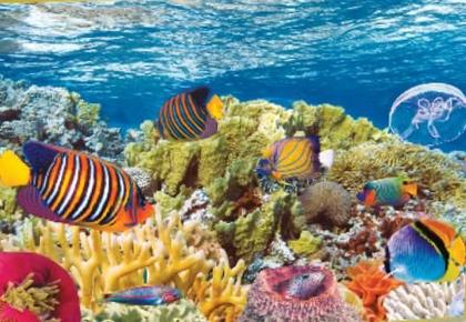 Imagem de Quebra cabeça 1000 peças oceano vivo puzzle pais & filhos