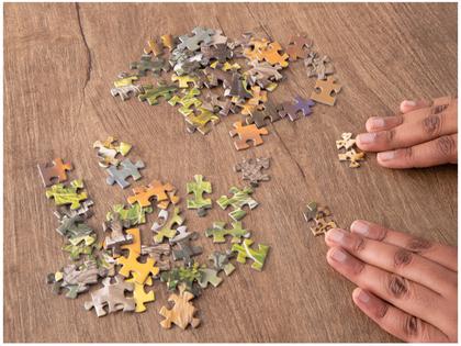 Imagem de Quebra-cabeça 1000 Peças Puzzle The Big Five