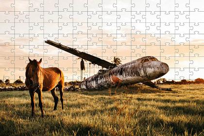 Imagem de Quebra-Cabeça Cognitivo Reabilitação para Idosos - Cavalos