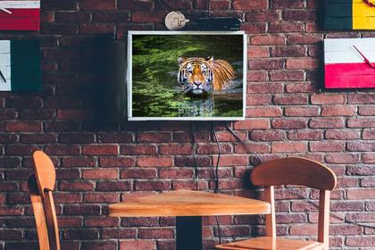 Imagem de Quebra-Cabeça Felinos de 500 peças mdf Belo Tigre