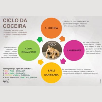 Imagem de Queranon Small Size Avert  Para Cães e Gatos de Pequeno Porte  30 Cápsulas