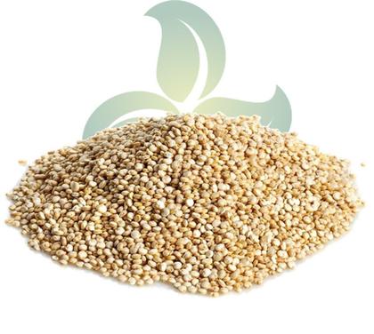 Imagem de Quinoa Quinua Branca em Grãos Peruana Wenutri