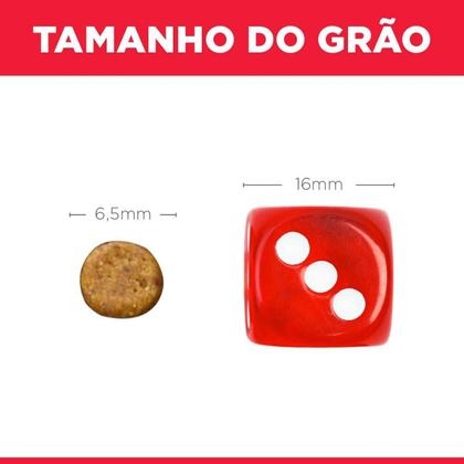 Imagem de Ração Hills Science Diet Felino Filhote 1kg