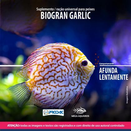 Imagem de Ração Peixe Prodac Biogran Garlic 240G Suplemento Aquario