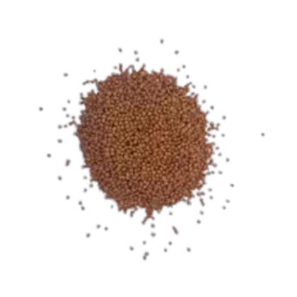 Ração Poli-nutri CK1 Crescimento para Carpa e Kinguio 10Kg Imagem de Ração Poli-nutri CK1 Crescimento para Carpa e Kinguio 10Kg