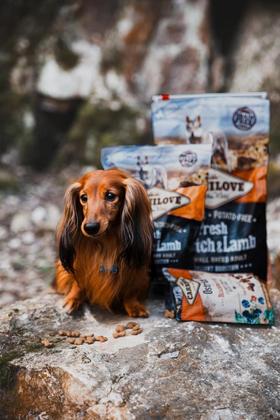 Imagem de Ração Premium Carnilove Fresh de Avestruz & Cordeiro Para Cães de Raças Pequenas 6 Kg