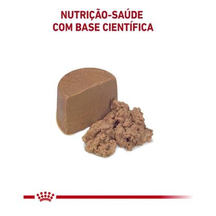 Imagem de Ração Royal Canin Lata Canine e Feline Veterinary Diet Recovery Wet - 195 g