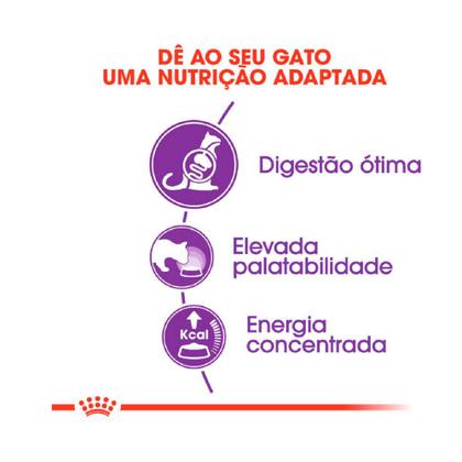 Imagem de Ração Royal Canin Sensible para Gatos Adultos 4 kg