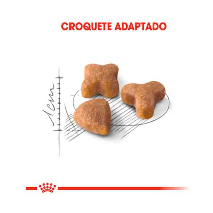 Imagem de Ração Royal Canin Sensible para Gatos Adultos 4 kg