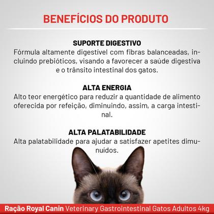 Imagem de Ração Royal Canin Veterinary Diet Gastrointestinal Gatos com Doenças Intestinais 4 Kg