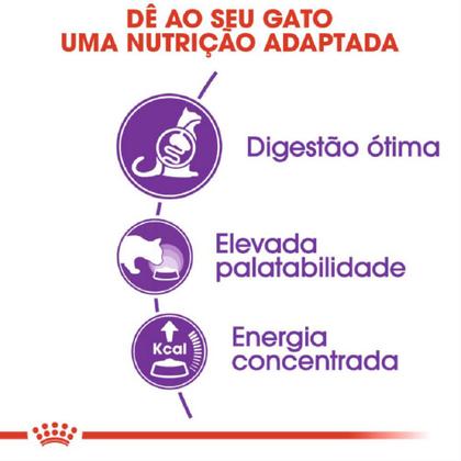 Imagem de Ração Seca Sensible para Gatos Adultos 4 Kg Royal Canin
