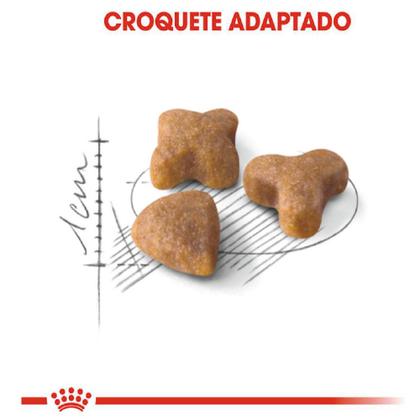 Imagem de Ração Seca Sensible para Gatos Adultos 4 Kg Royal Canin
