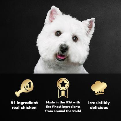 Imagem de Ração Úmida Cesar Rotisserie Chicken com Bacon e Queijo - 24 Sachês de 100g