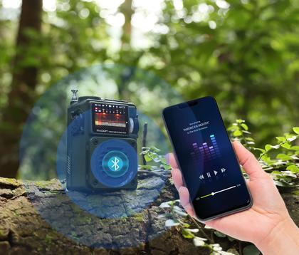 Imagem de Rádio portátil de ondas curtas Radioddity Raddy RF750 com alertas NOAA