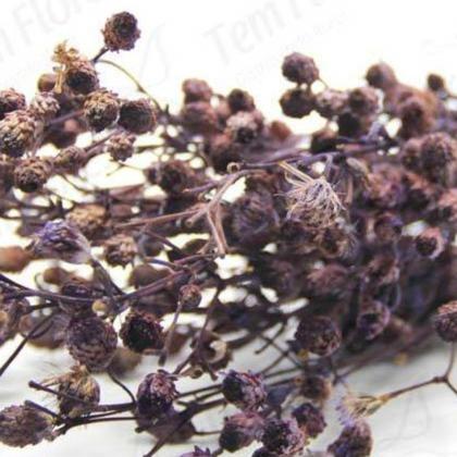 Imagem de Ramo Roxo Roxo Flor Desidratada Buque Flores Secas