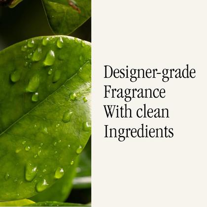 Imagem de Recarga para difusor de ar doméstico inteligente Pura Malodor, pacote com 2