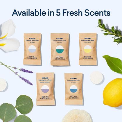 Imagem de Recargas de sabonete espumante para mãos BLUELAND Perrine Lemon Scent 10x250ml