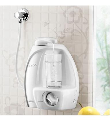 Imagem de Refil Filtro Compatível Com Lorenzetti Gioviale Purificador Hidrofiltros Hf Giovale