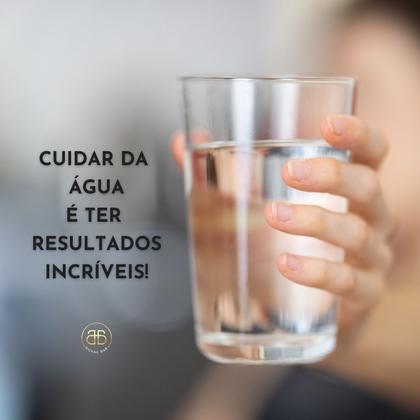 Imagem de Refil Pe10b Pe10x Compativel Para Filtro Electrolux Linha Pe Pe10 Pappca20