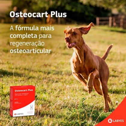 Imagem de Regenerador Osteoarticular Osteocart Plus para Cães