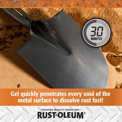 Imagem de Removedor de corrosão e dissolvedor de ferrugem e óleo 946 ml Trigger Spray