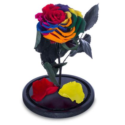 Imagem de Rosa Encantada a Bela e a Fera na Cúpula de Vidro