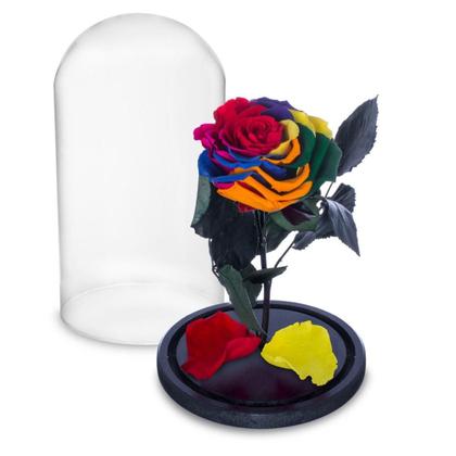 Imagem de Rosa Encantada a Bela e a Fera na Cúpula de Vidro