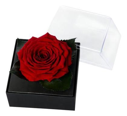 Imagem de Rosa Encantada Preservada Vermelha Presente caixa Acrilica