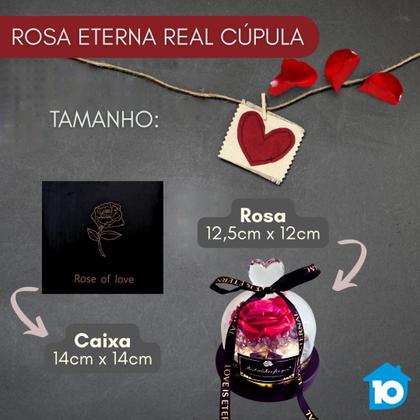 Imagem de Rosa Encantada Real Luminária Led Romantica Cupula Flor Vidro Dia das Mães Namorados Luxo