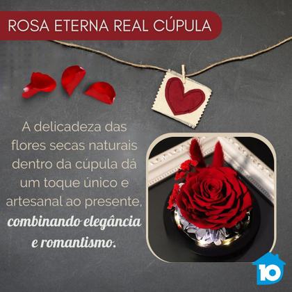 Imagem de Rosa Encantada Real Luminária Led Romantica Cupula Flor Vidro Dia das Mães Namorados Luxo