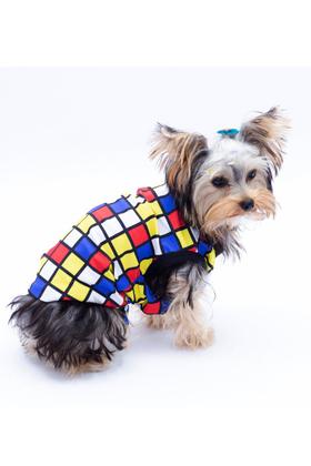 Imagem de Roupa Pet Divertida Cubo Mágico