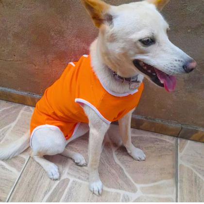 Imagem de Roupa Pós Cirúrgica Com Zíper Macho Castração Cachorro Pet