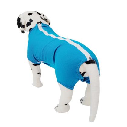 Imagem de Roupa pós cirúrgica pet para cães machos e fêmeas tamanho 06