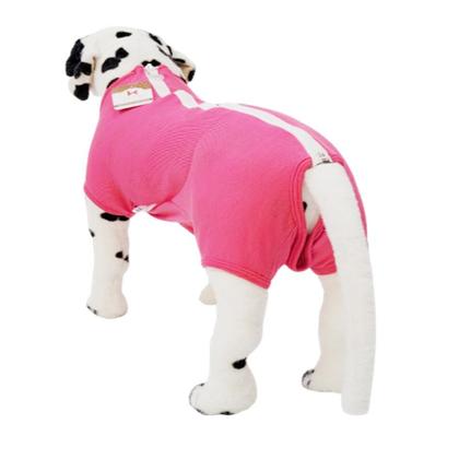 Imagem de Roupa pós cirúrgica pet para cães machos e fêmeas tamanho 06