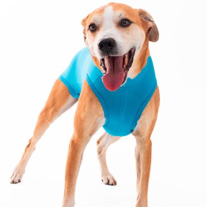 Imagem de Roupa Protetora e Pós-Cirúrgica Para Machos e Fêmeas Pet Freedom Tamanho 00