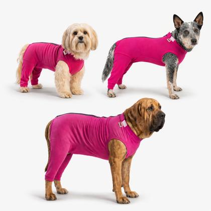 Imagem de Roupa Protetora Pós Cirúrgica Para Cachorro Membros Posteriores Pernas Traseiras