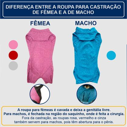 Imagem de Roupa Protetora Pós Cirúrgica Para Castração de Cachorro Macho e Fêmea Tecido Dry Fit Com Proteção Solar