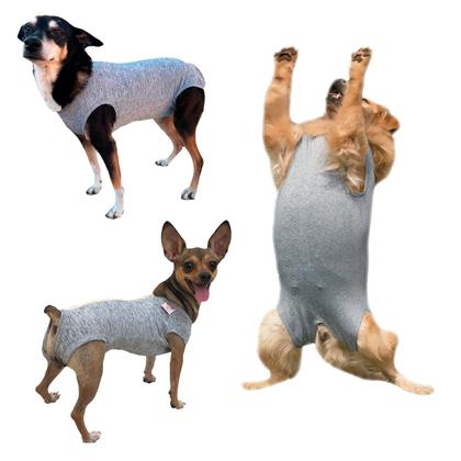 Imagem de Roupa Protetora Pós Cirúrgica Para Castração de Cachorro Macho e Fêmea Tecido Dry Fit Com Proteção Solar