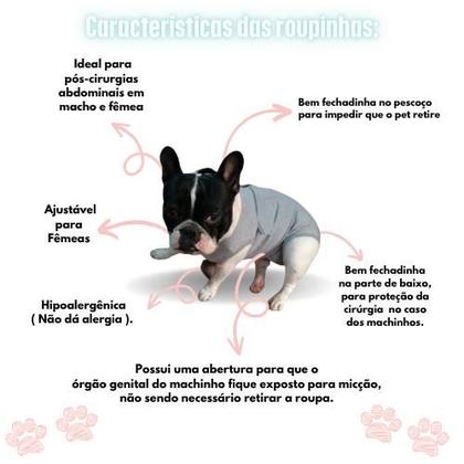 Imagem de Roupa Protetora Pós Cirúrgica Pet Macho Femea Fofodog Tam. 9 ao 12