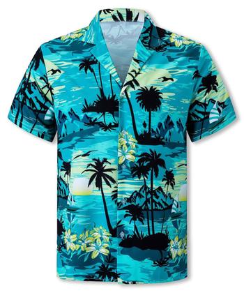 Imagem de Roupas havaianas combinando: pai cromoncente, filho, mãe e filha